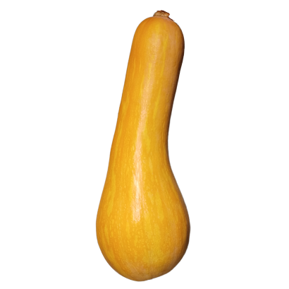 Sütőtök
