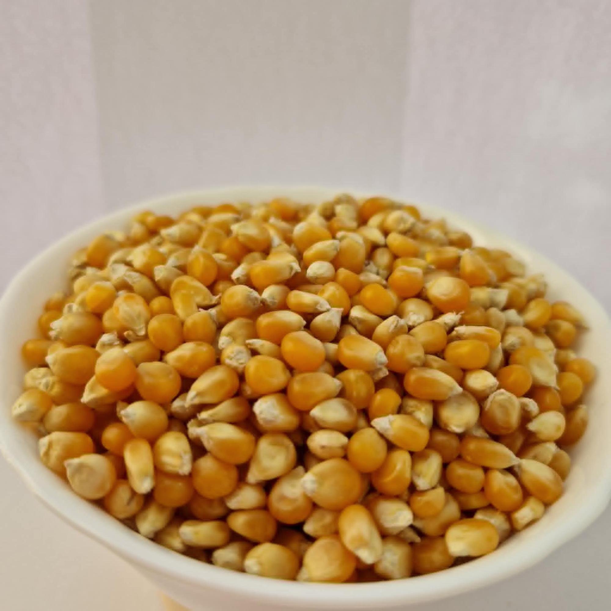 Popcorn (Tündérkert)