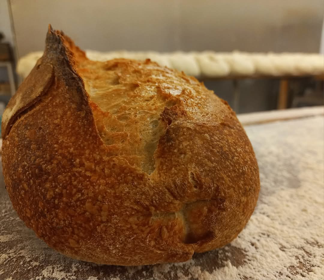 Őskovászos kenyér-natur  0,5kg (Kriegler )