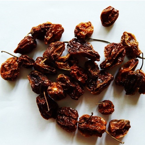 Habanero szárított