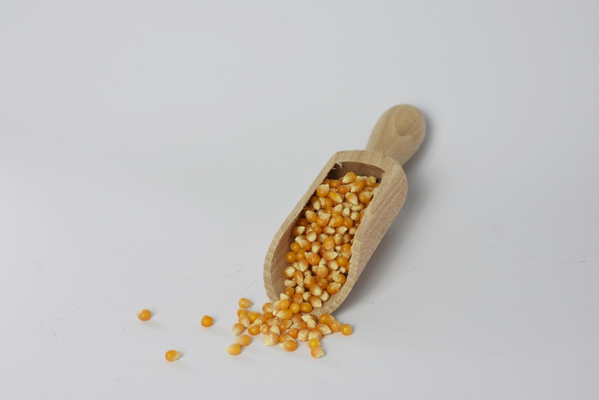 Popcorn (Tündérkert)