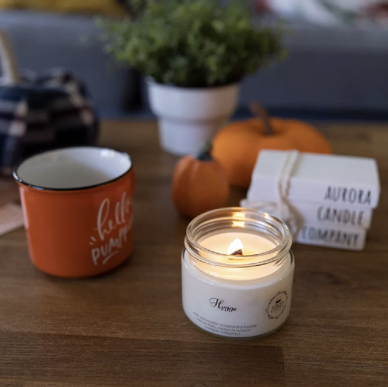 Szójaviasz gyertya (Hygge) (AuroraCandle)