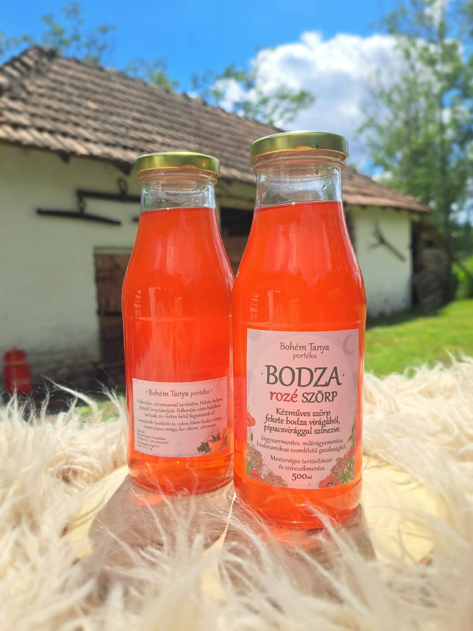 szörp- szörp (bodza rozé) 500ml (Bohém Tanya)