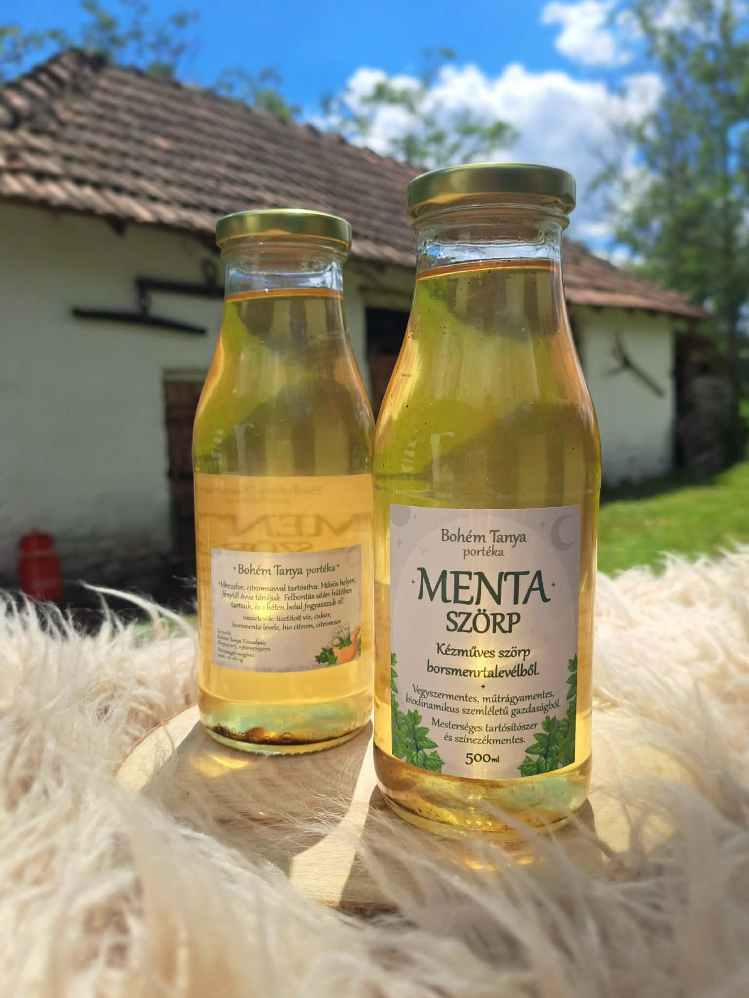 szörp- szörp (menta) 500ml (Bohém Tanya)