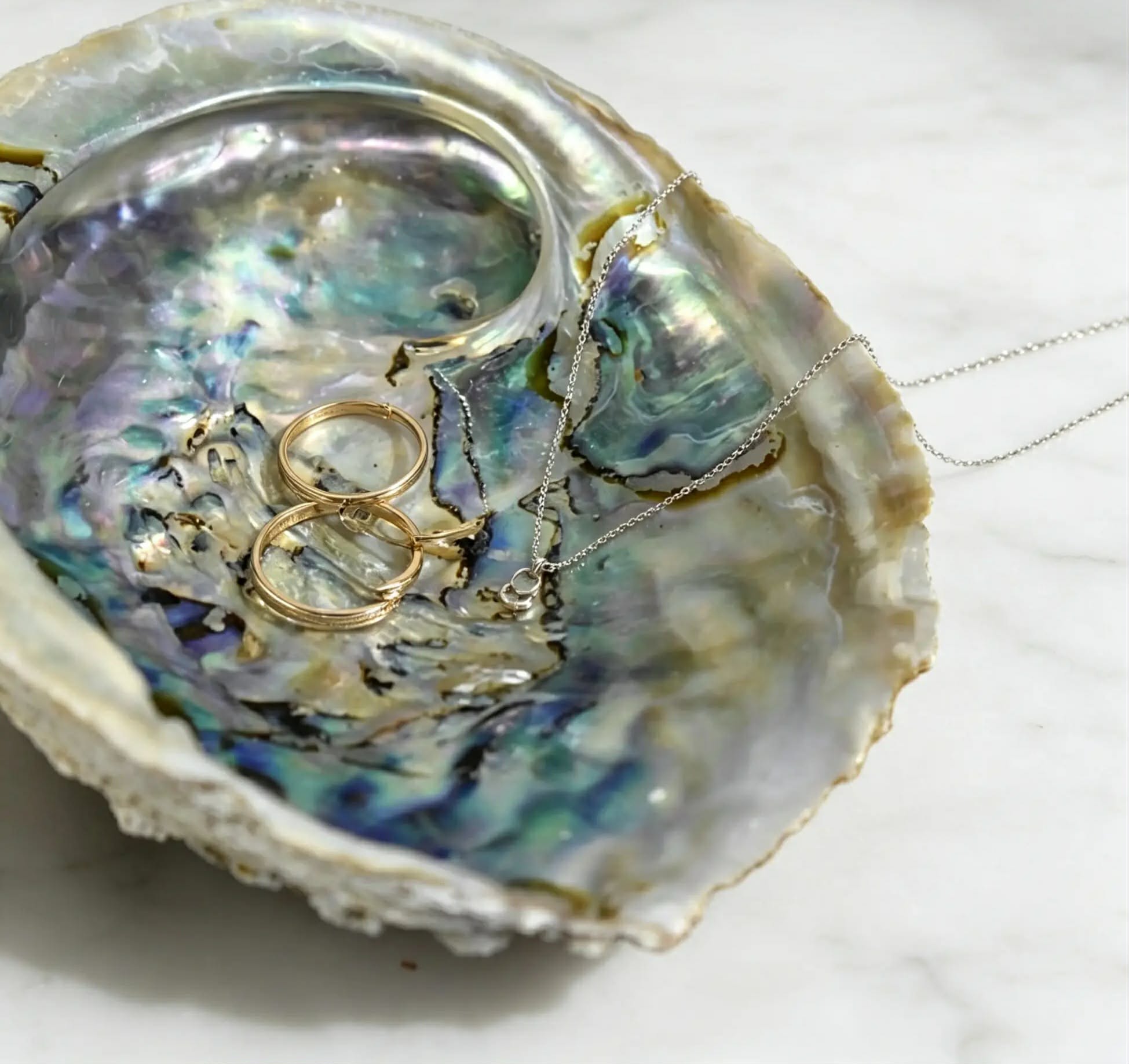 Abalone  kagyló kb. 12*10 cm