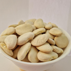 Fehérbab