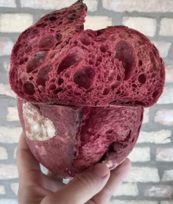 Őskovászos kenyér-céklás 0,5kg (Kriegler)